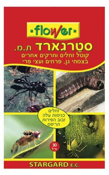 תמונת מוצר 2