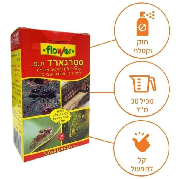 תמונת מוצר 3