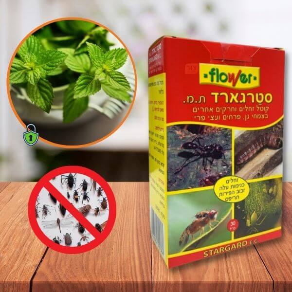 תמונת מוצר 4