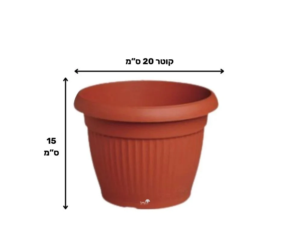 תמונת מוצר 2