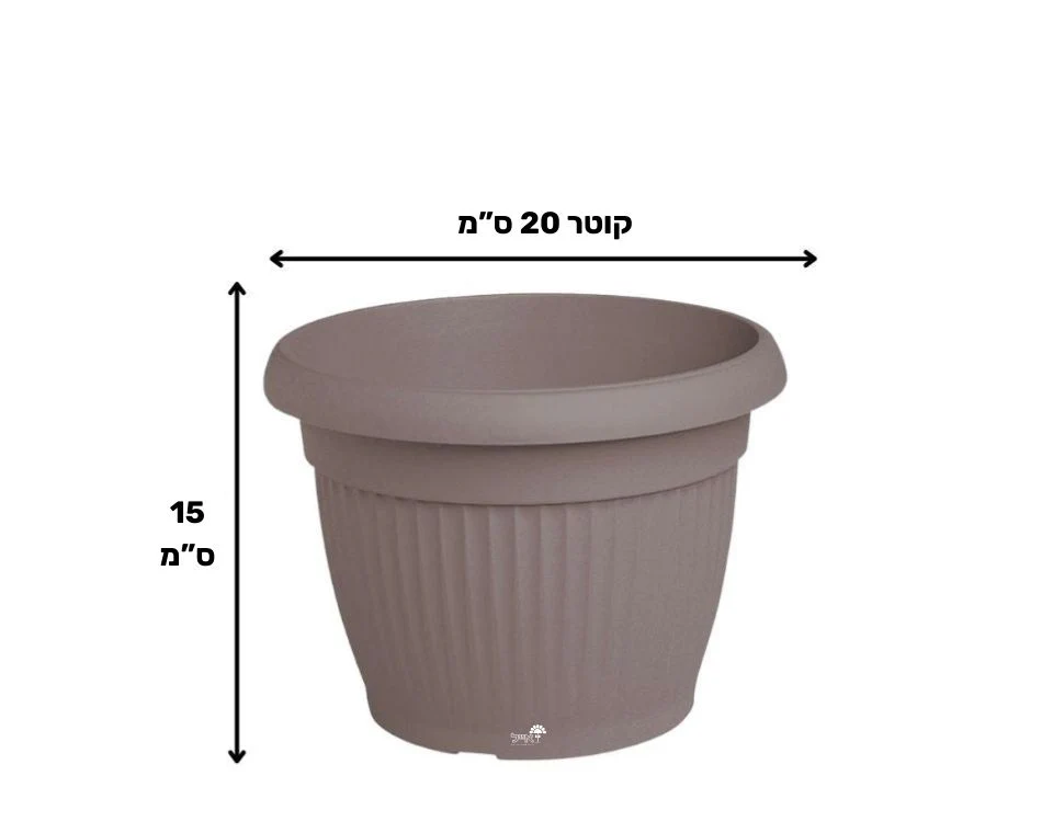 תמונת מוצר 2