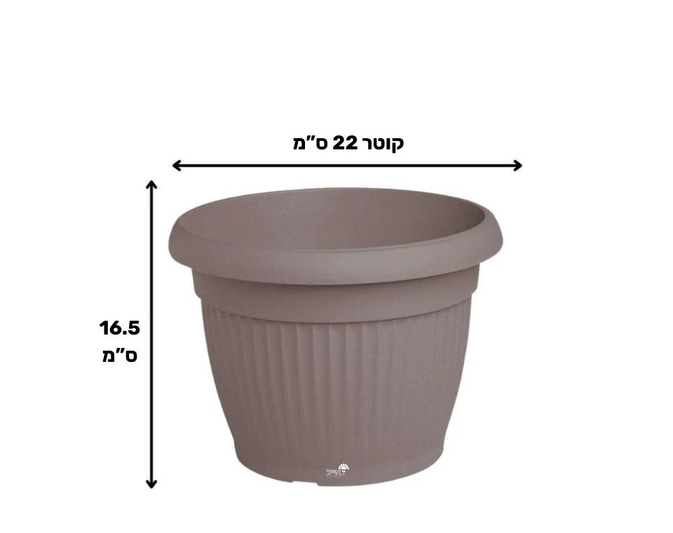 תמונת מוצר 2