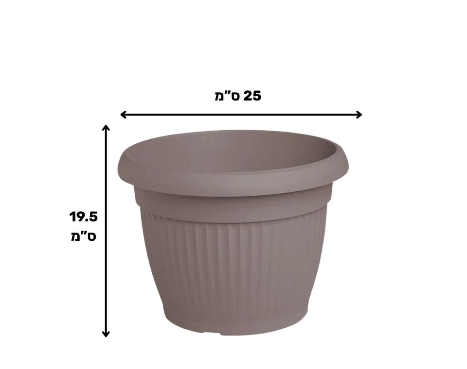 תמונת מוצר 2