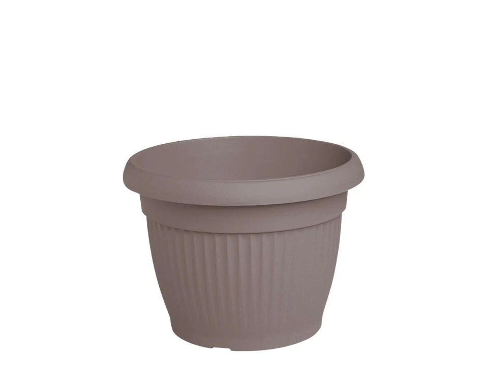 תמונת מוצר 1