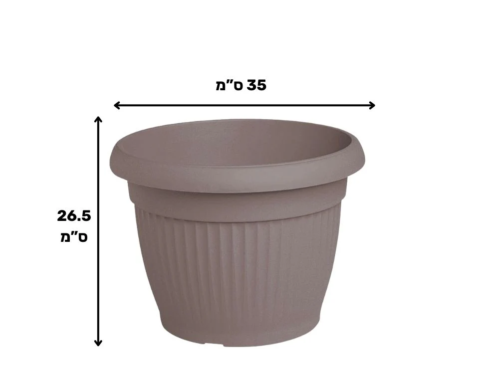 תמונת מוצר 2