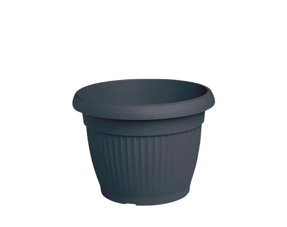 תמונת מוצר 1