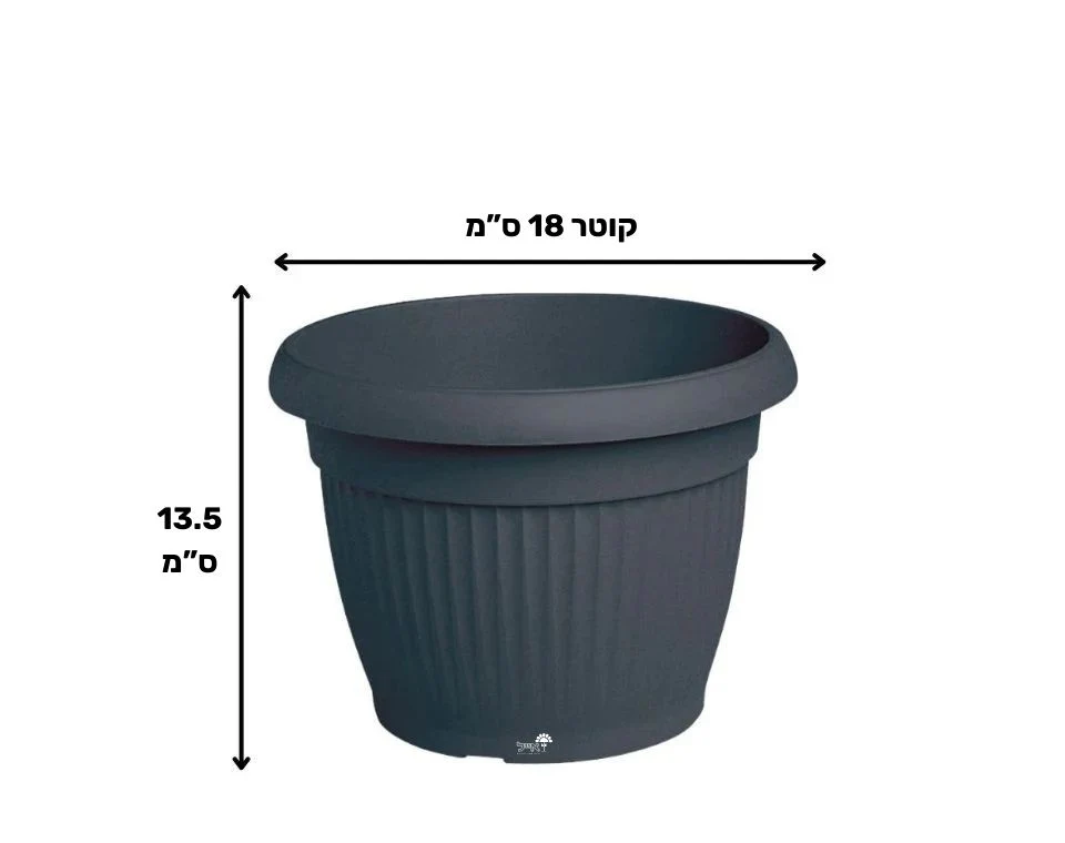 תמונת מוצר 2