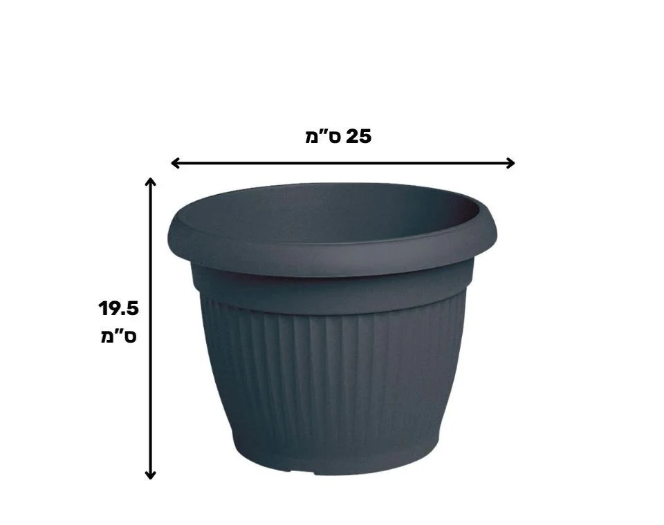 תמונת מוצר 2