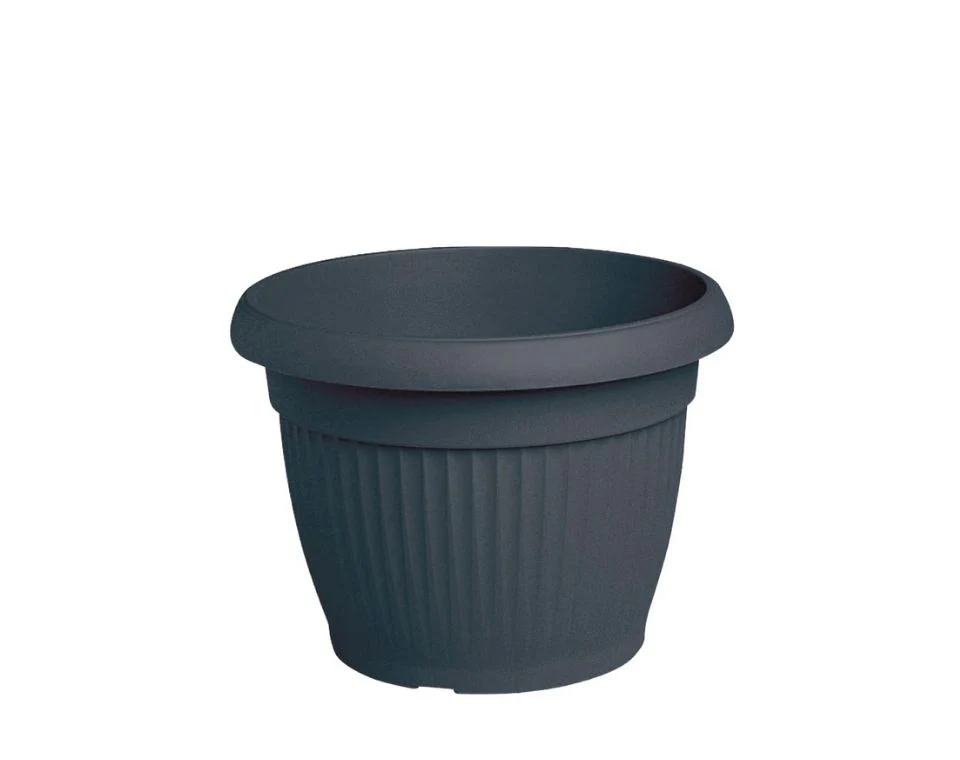 תמונת מוצר 1