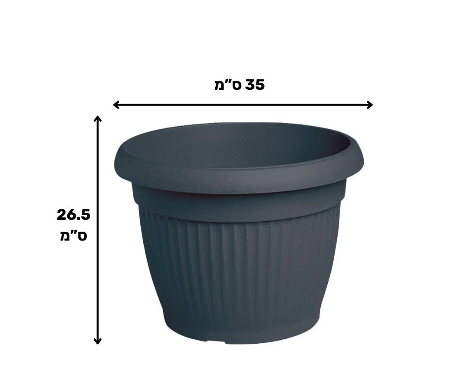 תמונת מוצר 2