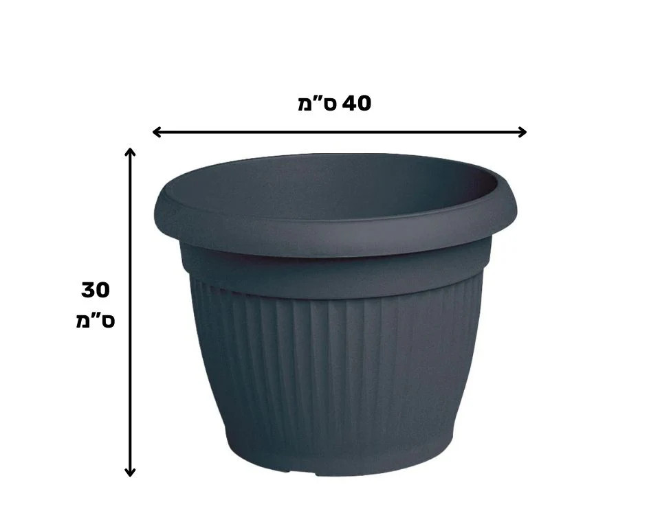 תמונת מוצר 2