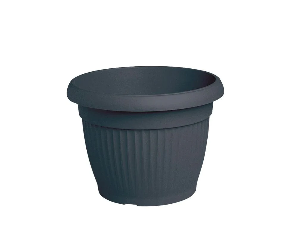 תמונת מוצר 1