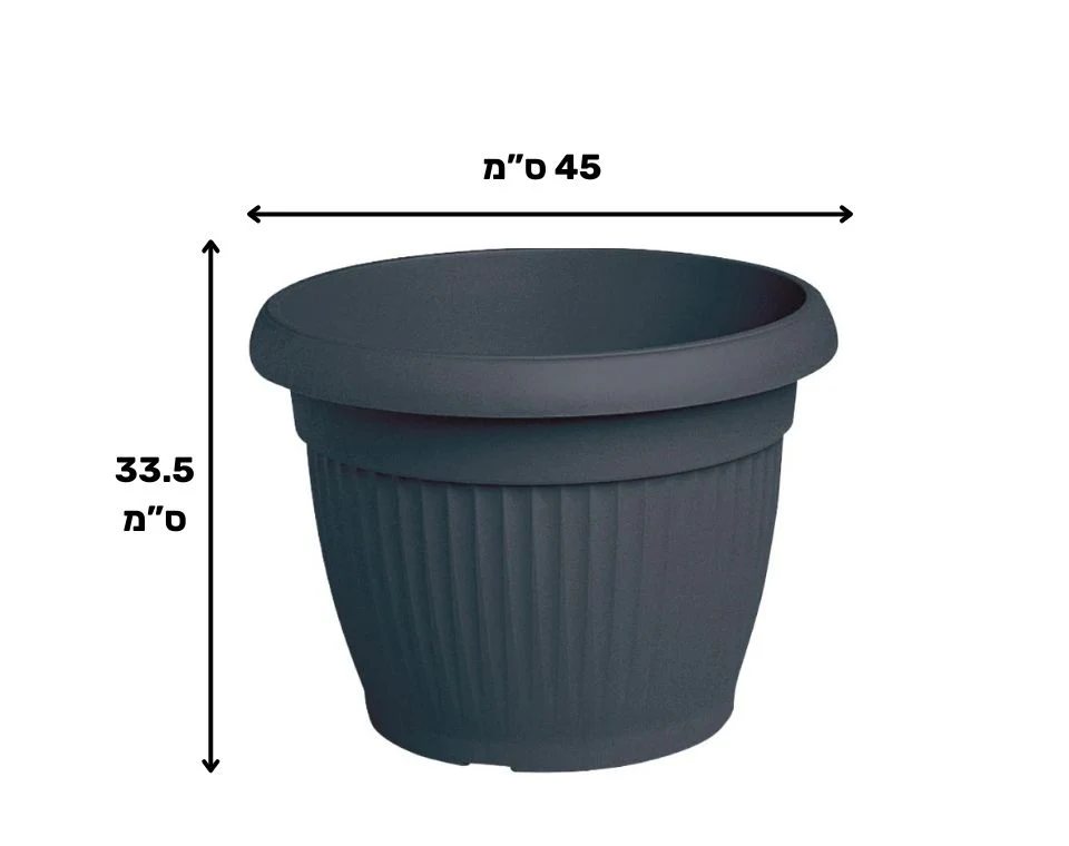 תמונת מוצר 2