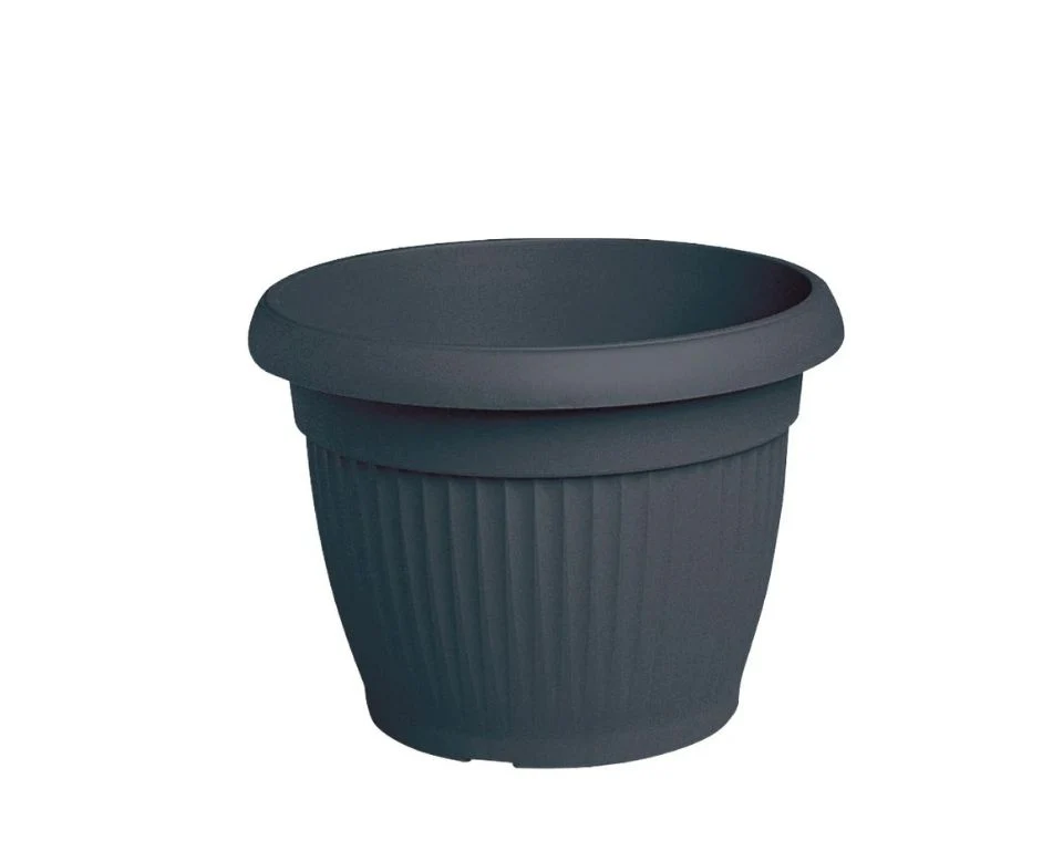 תמונת מוצר 1