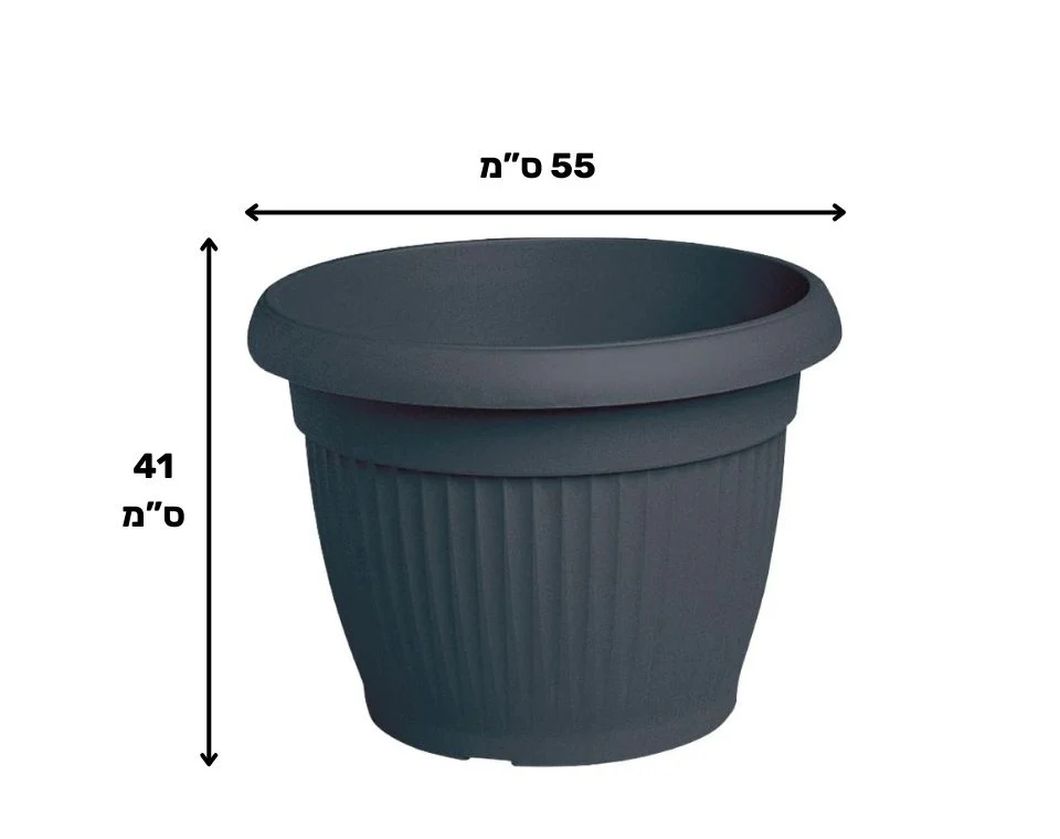 תמונת מוצר 2