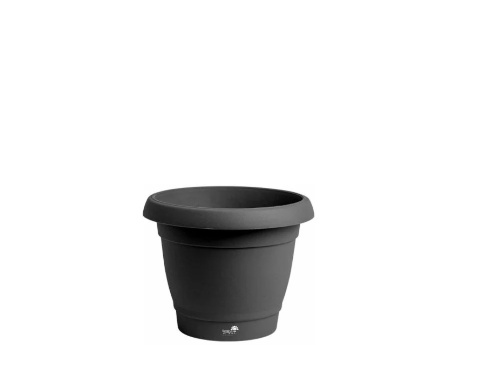 תמונת מוצר 1