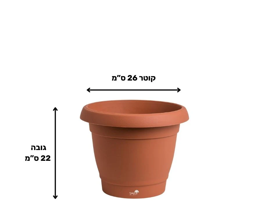 תמונת מוצר 2