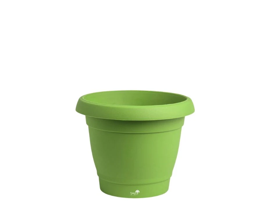 תמונת מוצר 1