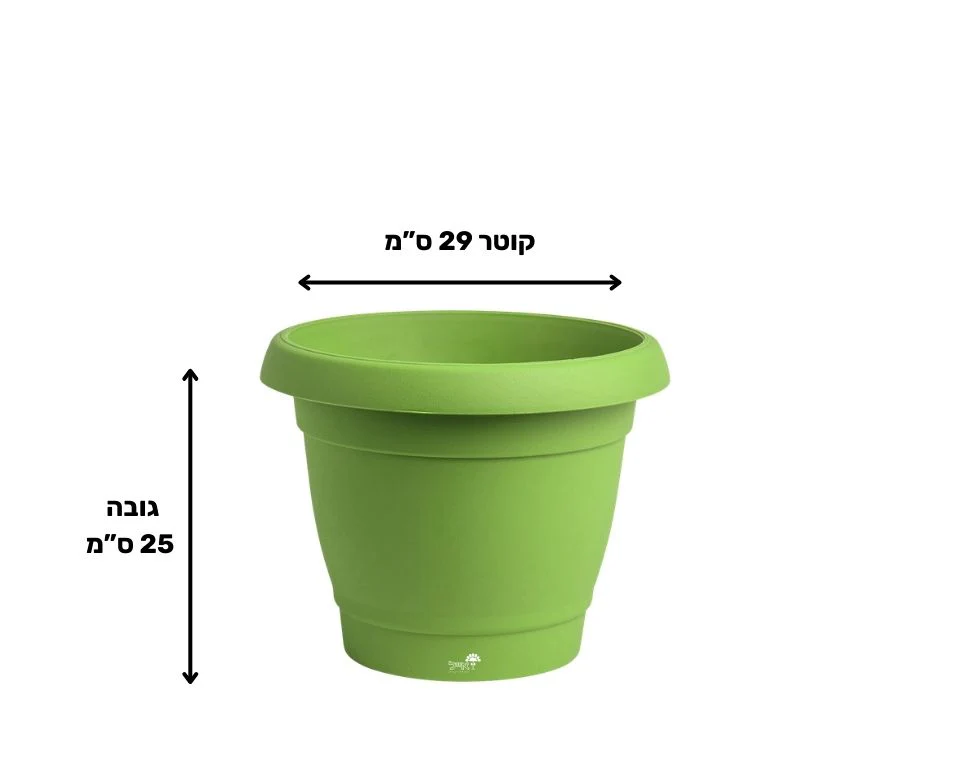 תמונת מוצר 2