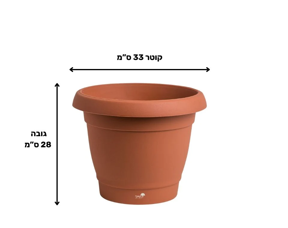 תמונת מוצר 2