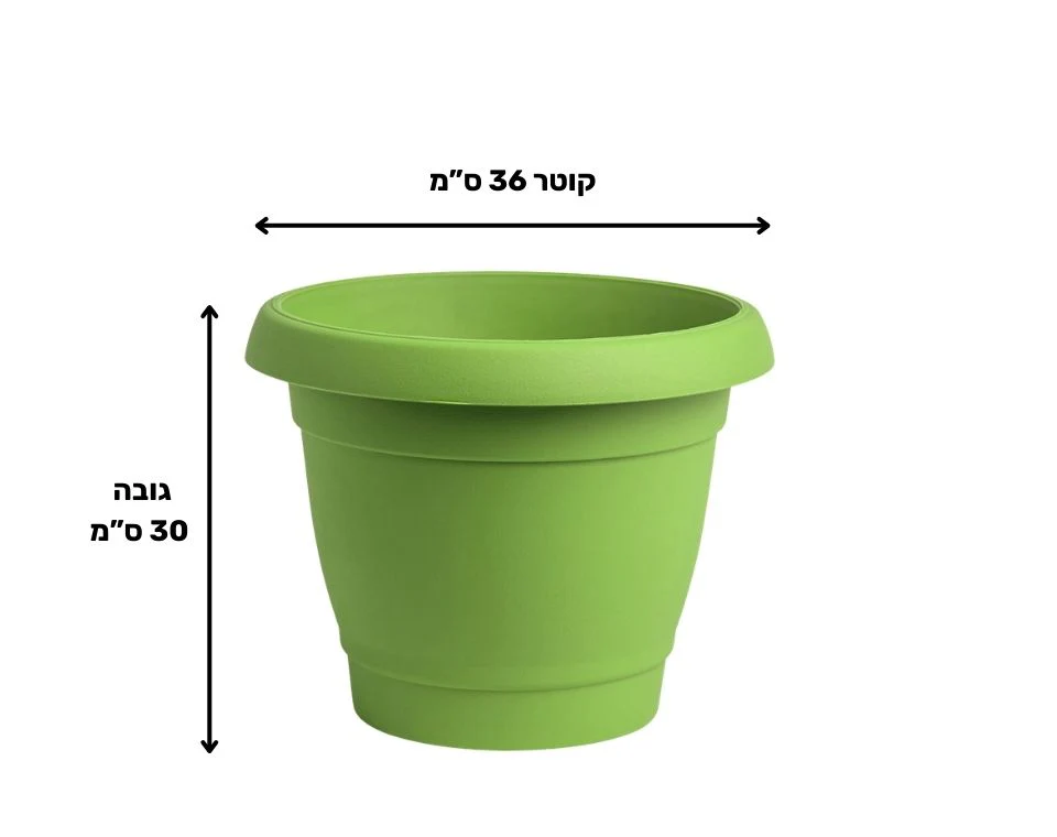 תמונת מוצר 2