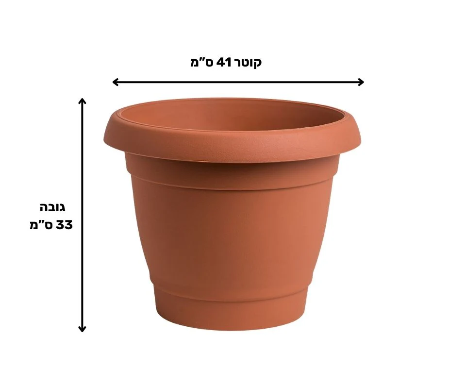 תמונת מוצר 2
