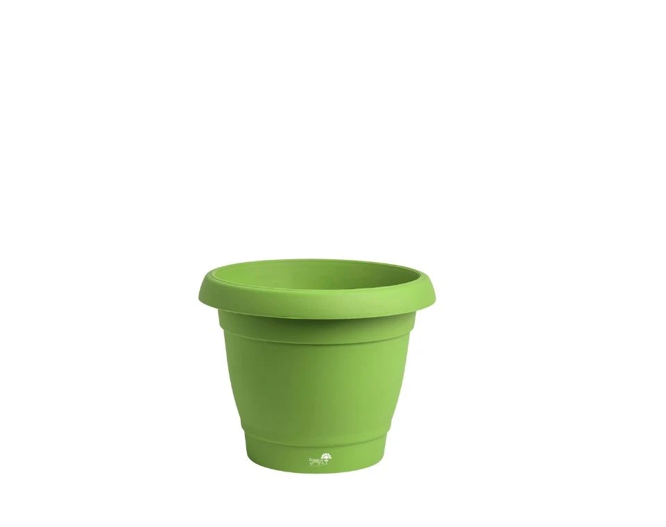 תמונת מוצר 1