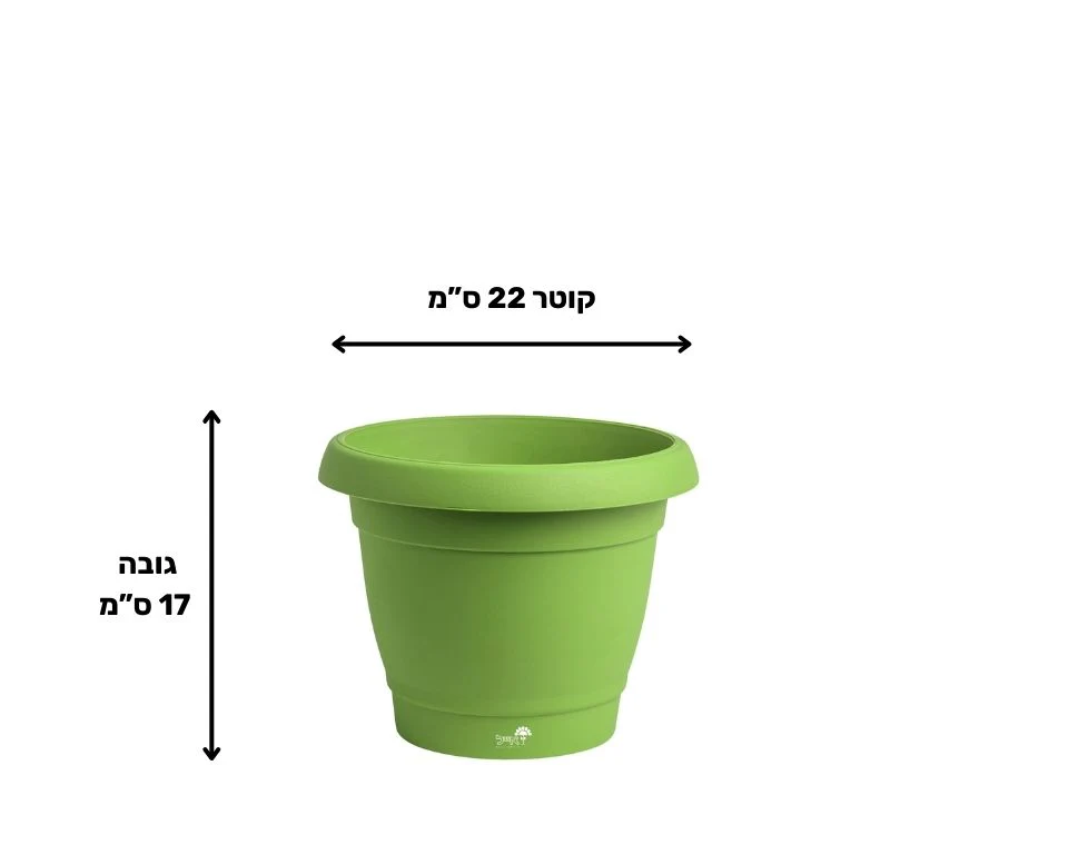 תמונת מוצר 2