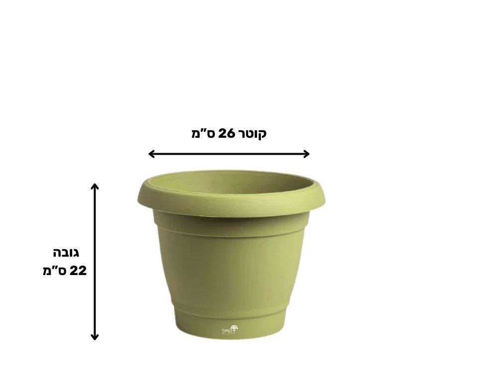 תמונת מוצר 2