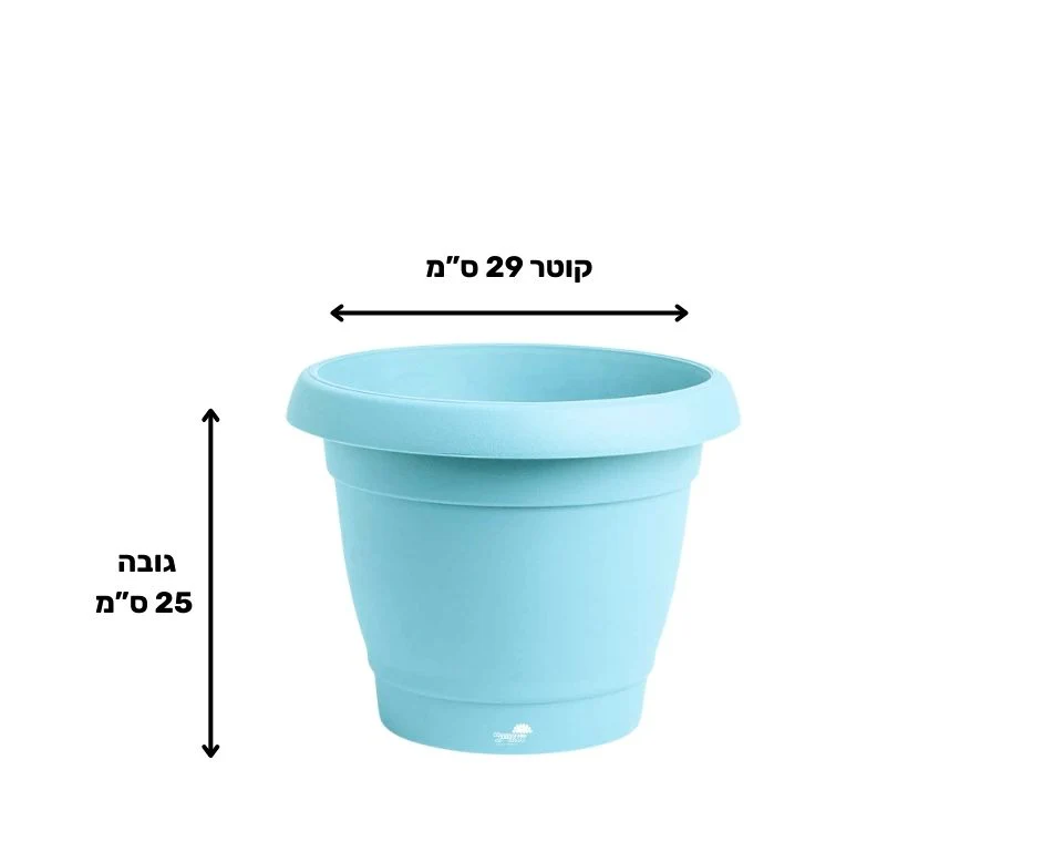 תמונת מוצר 2