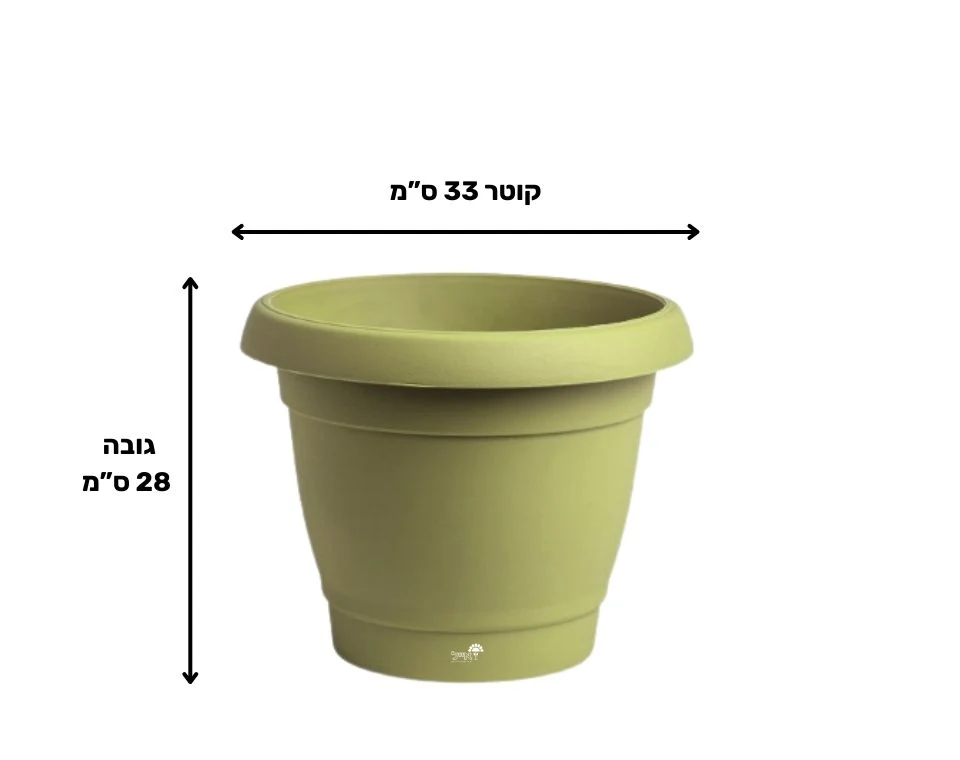 תמונת מוצר 2