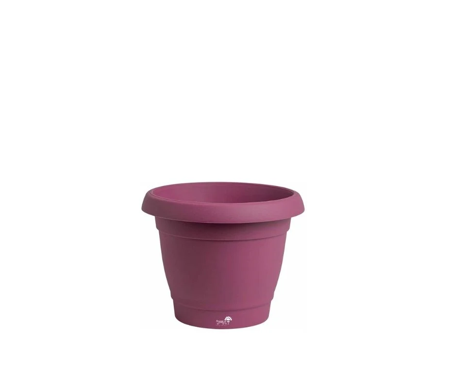 תמונת מוצר 1