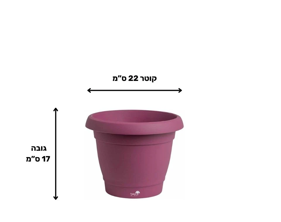 תמונת מוצר 2