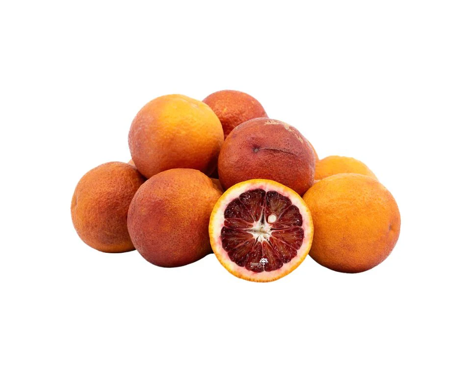 תמונת מוצר 2