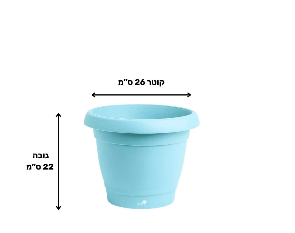תמונת מוצר 2