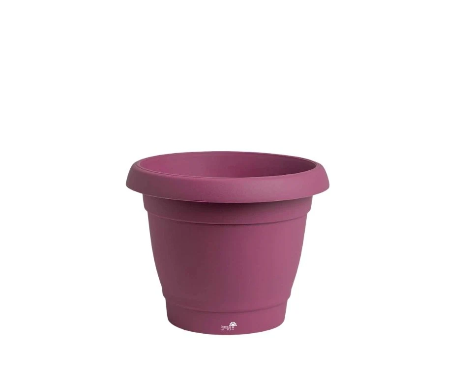 תמונת מוצר 1