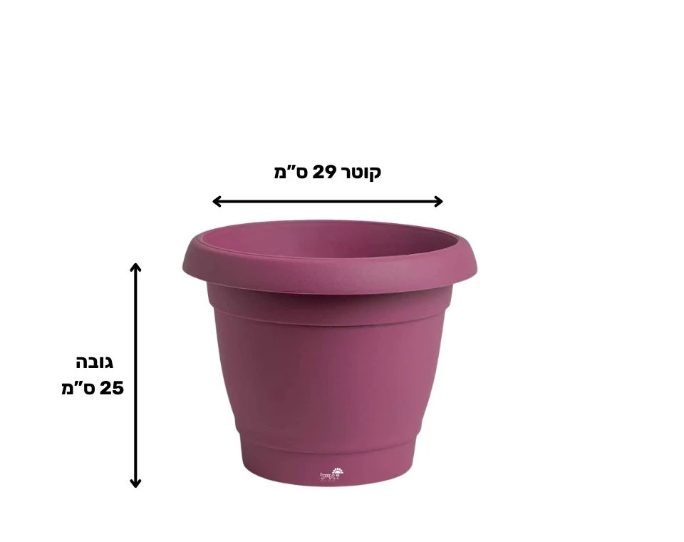 תמונת מוצר 2