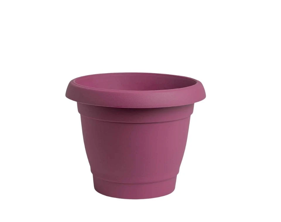 תמונת מוצר 1