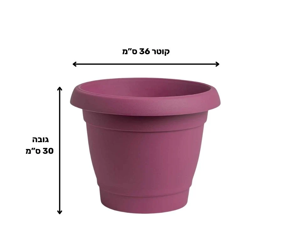 תמונת מוצר 2