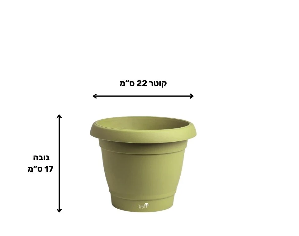 תמונת מוצר 2