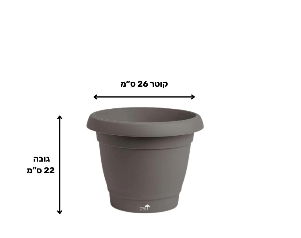 תמונת מוצר 2