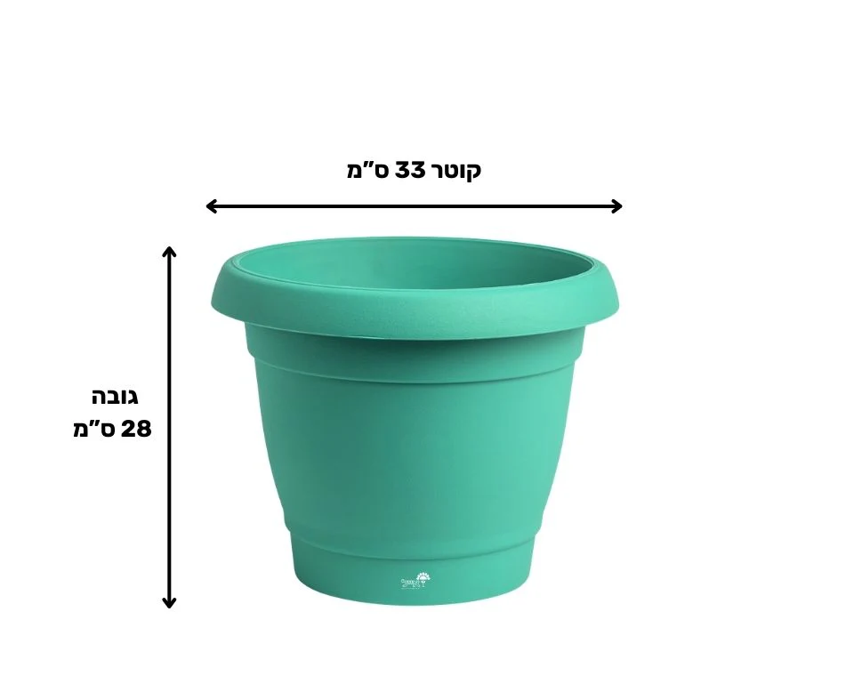 תמונת מוצר 2