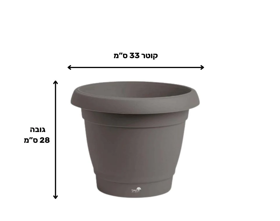 תמונת מוצר 2