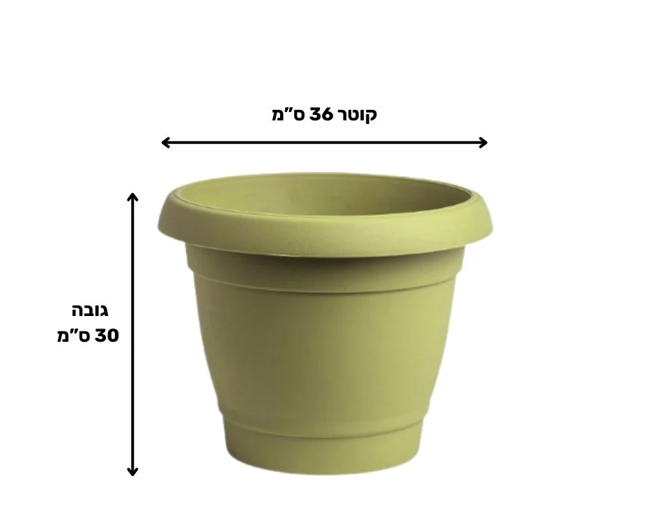 תמונת מוצר 2