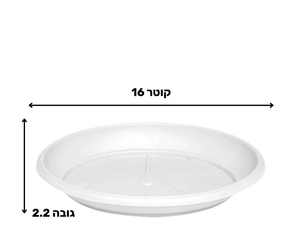תמונת מוצר 2