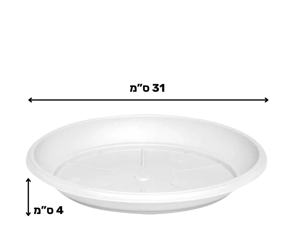 תמונת מוצר 2
