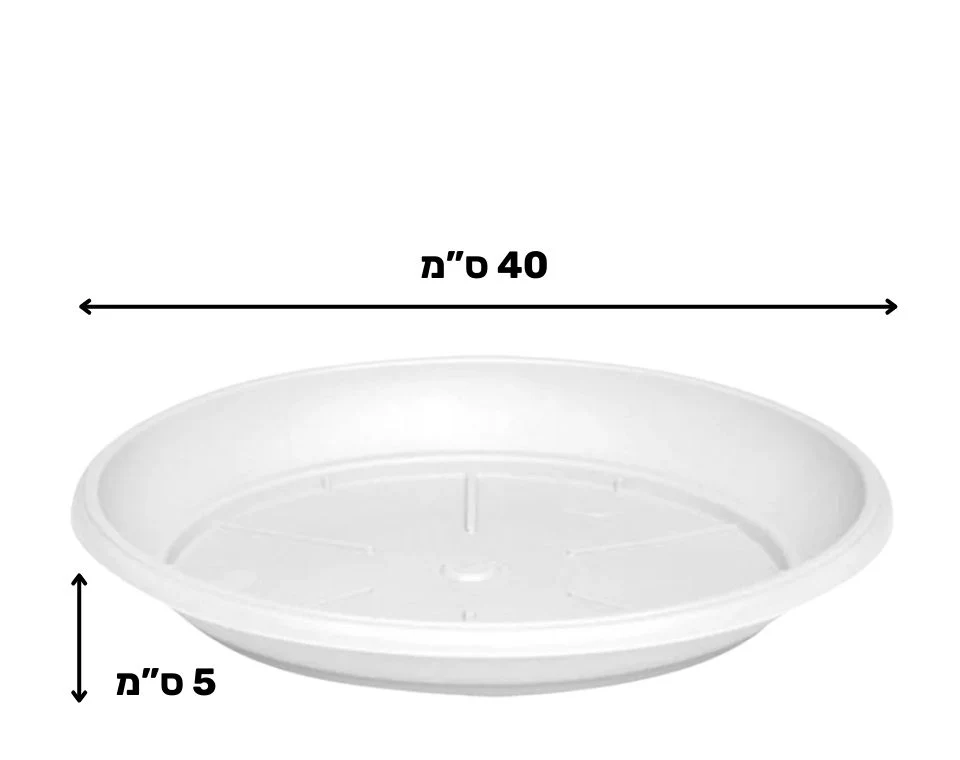 תמונת מוצר 2
