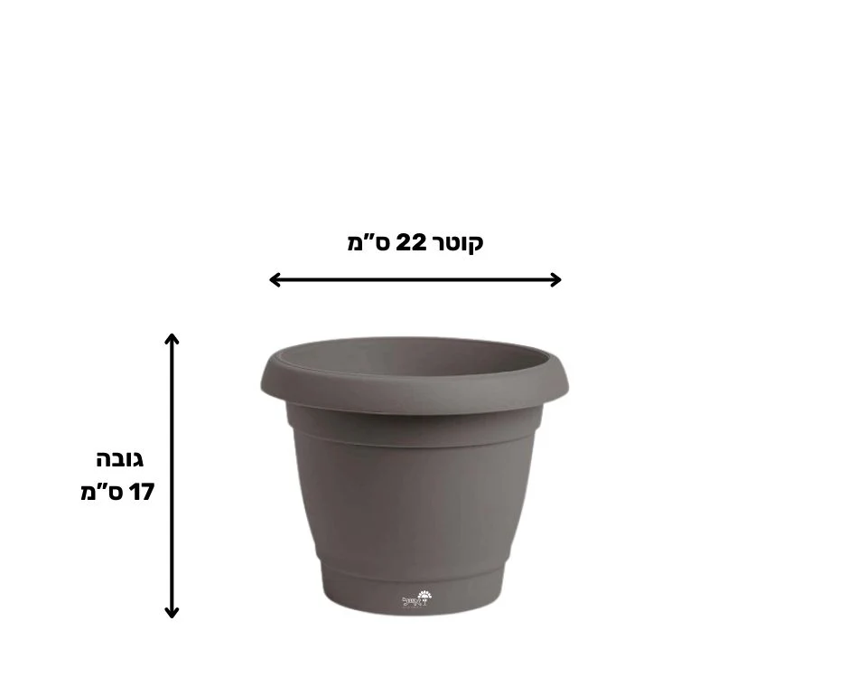 תמונת מוצר 2