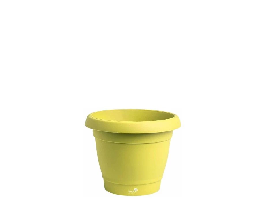 תמונת מוצר 1