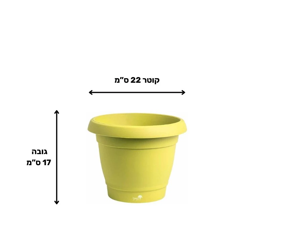 תמונת מוצר 2
